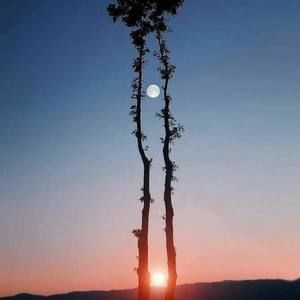 Meet your Posher, Catalina